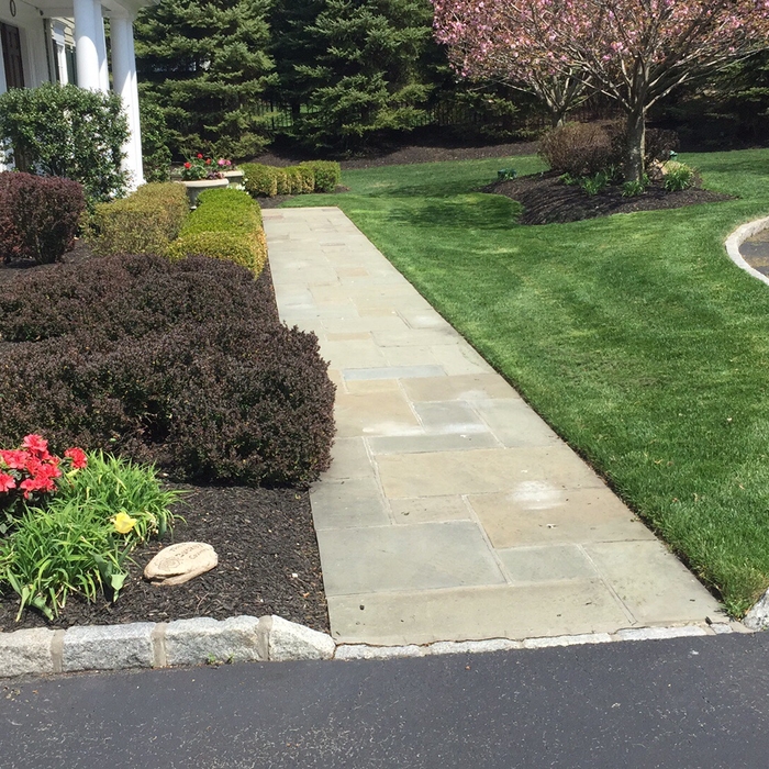 LAWN