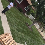 Julian's landscaping
