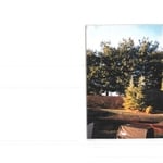pavers and landscape
