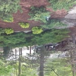 Mulch job