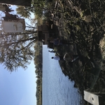 Lakefront recovery