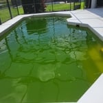 Green pool