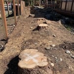 Stump Grinding