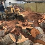 Stump Grinding