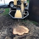 Stump Grinding
