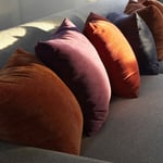 Sofa Cleaning
