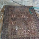 Persian wool rug