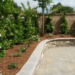 Complete landscape