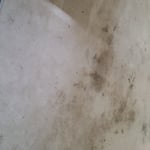 Daycare carpets
