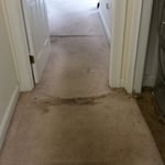 Hallway carpet