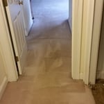 Hallway carpet