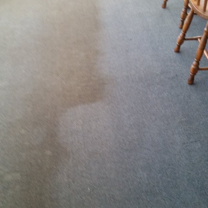 Restaurant carpet