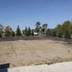 Tree Transplanting Job