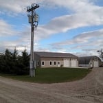 Tree Transplanting Job