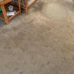 Carpet Cleaning