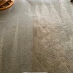 Carpet cleaning during process