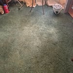 Carpet cleaning