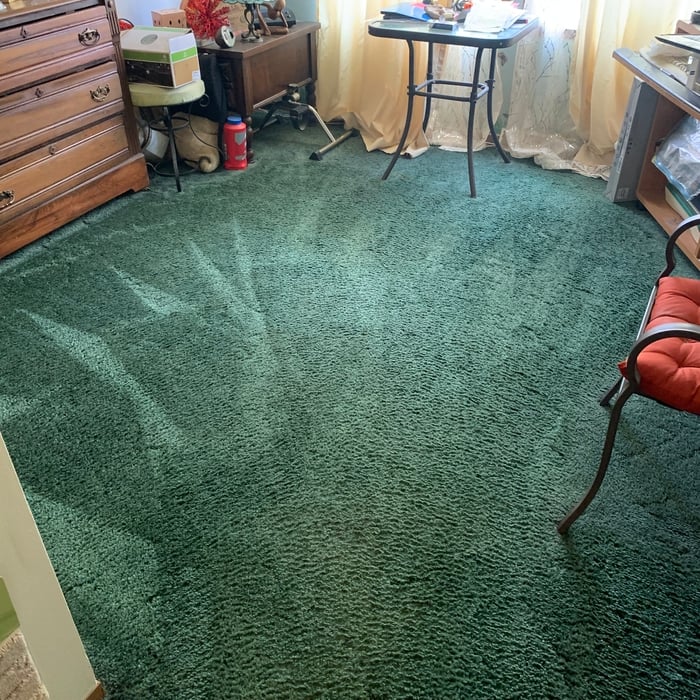 Carpet cleaning