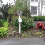 Brown Mulch
