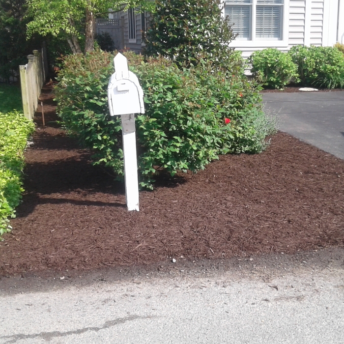 Brown Mulch