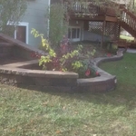 plants