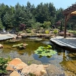 Holland Koi Pond