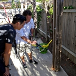Showing Homeowner Termite Damage