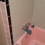 MOOSIC BATHROOM