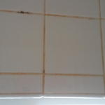 Shower Wall