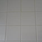 Shower Wall