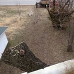 Tree trimming