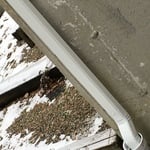 Downspout into drywell