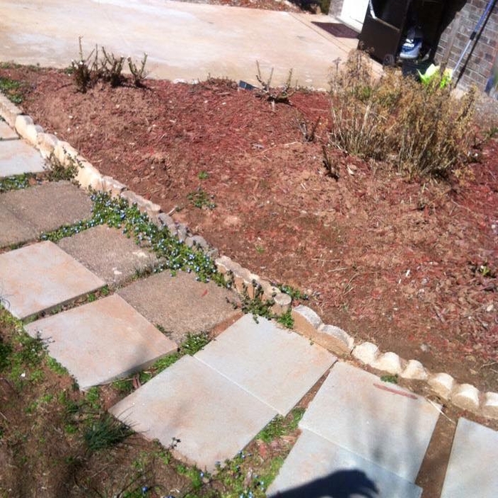 Before Picture