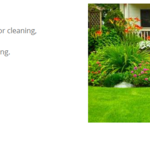 ALA Exterior Cleaning