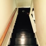 New hardwood stair treads