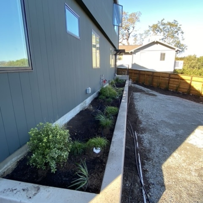 Parking Planted