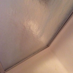 Shower door