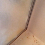 Shower door