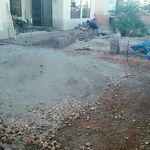 New landscape