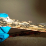 Removal of mold