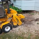 Foundation stump, No problem.