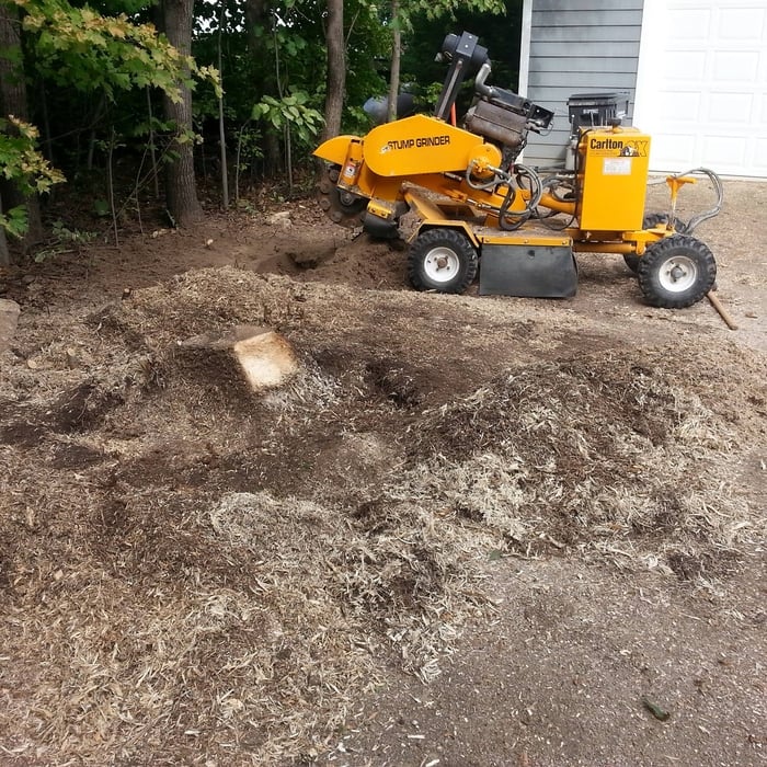 Rocky Driveway