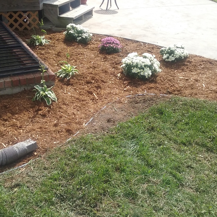 Landscaping