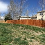 New fence