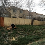 Old fence