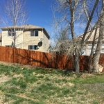New fence