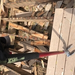 Demo