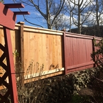 5 foot #2 cedar