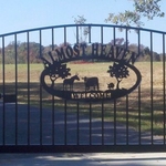 Custom Gate by Charlotte Fence