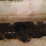 Weep Holes